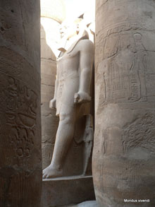 Temple de Louxor - Egypte